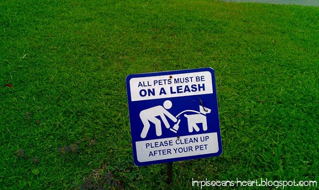 IMAG0680 | A Trip to Desa Park City IMAG0680 | A Trip to Desa Park City