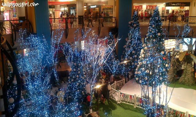 IMAG1337 | Merry Christmas to YOU!