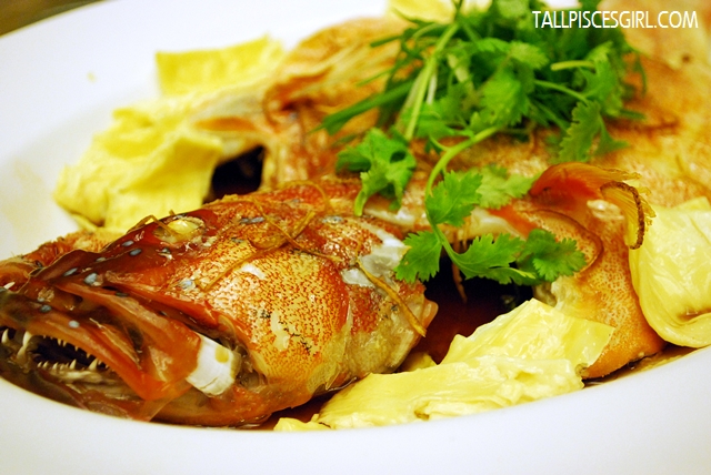 Steamed Star Garouper with Mandarin Orange Skin and Fresh Bean Curd Steamed Star Garouper with Mandarin Orange Skin and Fresh Bean Curd