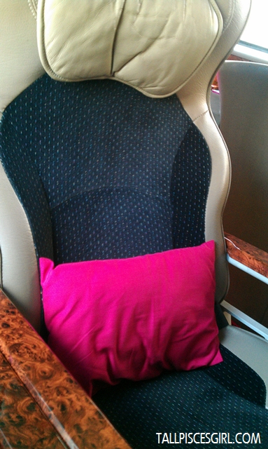 Comfy seat with mini pillow