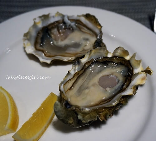Fresh Oysters