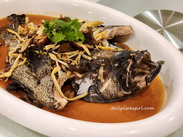 Steamed Sabah Grouper with Twin Mushrooms and Black Fungus | Halal Chinese New Year Set Menu @ Golden Valley, Melawati Mall Steamed Sabah Grouper with Twin Mushrooms and Black Fungus