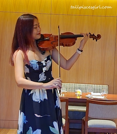 Classical violin performance for Valentine's day